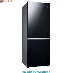 Tủ lạnh Samsung RB30N4010BU/SV 310 lít - Chính hãng