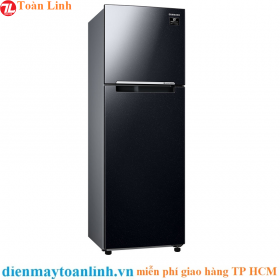 Tủ lạnh Samsung RT29K5532BU/SV Inverter 299 lít - Chính hãng