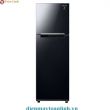 Tủ lạnh Samsung RT25M4032BU/SV Inverter 256 lít - Chính hãng